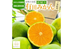 ［先行予約］ 有田育ちのご家庭用青切り 有田みかん 1kg+100g ［2026年9月中旬より発送］