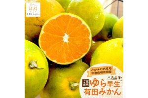 ［先行予約・2026年10月～発送］ご家庭用 ゆら早生 有田みかん 1kg+100g［訳あり］