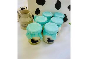 ミルクプリン6個セット 【黒沢牧場】