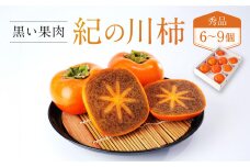 ［2026年発送分］先行予約！ 紀の川柿（果実の中身が黒い！黒蜜柿）希少栽培！ 秀品 6個～9個