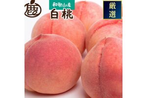 ［先行予約］和歌山の厳選白桃 約1kg［白鳳・清水白桃・川中島・もも・はくとう］［化粧箱入り］