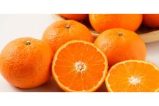 家庭用 森本農園の手選別 津の輝 約3kg 和歌山県産 サイズ混合［北海道・沖縄・離島配送不可］