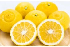 訳あり 森本農園の手選別 はるか 約2kg 和歌山県産 サイズ混合［北海道・沖縄・離島配送不可］