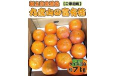 【先行予約】 樹上完全着色 九度山の富有柿★訳あり★ 約7kg2026年11月中旬頃から発送予定　