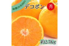先行予約［秀品］和歌山有田のデコポン！約2.5kg［2027年1月下旬以降順次発送］［NGT15］