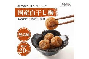 無添加 塩だけ 昔ながらの梅干し 南高梅 完熟 白干し梅 訳あり つぶれ梅1kg （500g×2個）