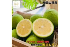 ［先行予約］［国産］紀州和歌山 有田レモン 3kg［MS68］