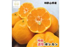 ［先行予約］極甘 柑橘 特撰 濃厚 ポンカン 5kg ［MS140］