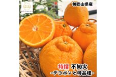 ［先行予約］特選 濃厚 不知火 1kg［MS141］