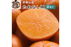 ［先行予約］家庭用 たねなし柿 約1kg 訳あり ［刀根早生・平核無柿］