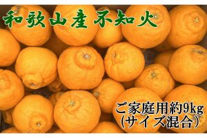 「農園直送」和歌山県産不知火 約9kg（サイズ混合 ご家庭用）★2027年2月下旬頃より順次発送