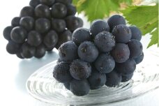 ［先行予約］ピオーネ 4房 （約2.5kg） 