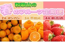 定期便 全3回 【2月・3月・4月発送】和歌山の春のフルーツ（ポンカン・不知火・まりひめ）