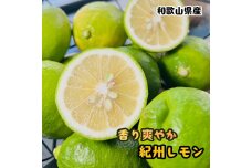 農家直送 紀州 レモン 約1kg［MS154］
