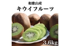［先行受付］［まごころ手選別］和歌山産 キウイフルーツ 約3.6kg 秀品［US70］