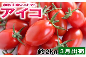［2027年3月出荷分］和歌山産ミニトマト「アイコトマト」約2kg（M・Lサイズおまかせ） 