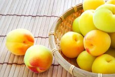 ［梅干・梅酒用］大玉4Lサイズ約2kg 熟南高 生梅 ＜2027年6月上旬～7月中旬発送予定＞