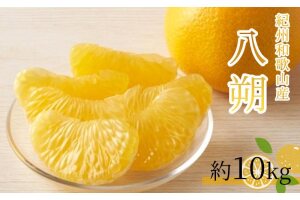 八朔（はっさく）約10kg　紀州和歌山 かつらぎ産［先行予約］［UT19］