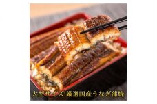 G6056_大型サイズふっくら柔らか国産うなぎ蒲焼き 1尾（約2人前）化粧箱入