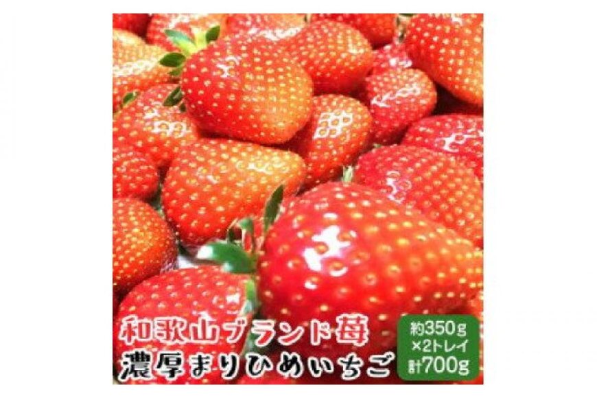 78%OFF!】 紀州和歌山ブランドいちご 約280g×2P ふるさと納税 まりひめ 和歌山