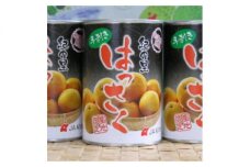 ZD6309_和歌山産手剥き八朔缶詰450g×8缶入り
