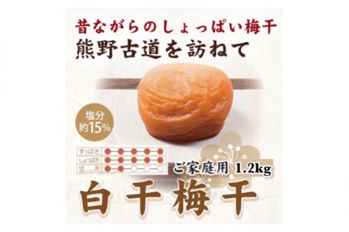 3600円 2021人気特価 ふるさと納税 印南町 紀州南高梅 白干し 2kg