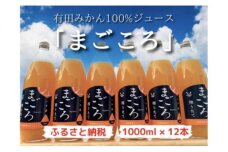 ZE6184_【まごころ】有田みかんジュース100% 1000ml×12本