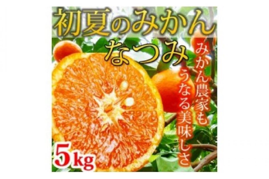 ふるさと納税 G6027 初夏のみかん なつみ5kg 和歌山県湯浅町 ふるさと納税の ふるさとぷらす