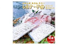 DL6001_しらす ・ 干物 おまかせ詰め合わせ セット A