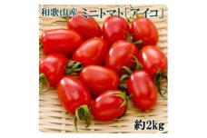 ZD6701_和歌山産ミニトマト「アイコトマト」約2kg（S・Mサイズおまかせ）