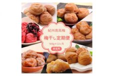 BL6153_【定期便】紀州南高梅 7種の風味 500g×12ヶ月 ご家庭用