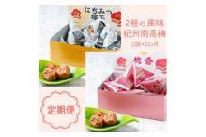 BL6155_【定期便】紀州南高梅 2種の風味 テトラピロー 個包装 12個入 ×12