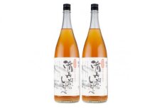 V6110_備長炭のしらべ熊野山里梅酒 （備長炭熟成）1800ml×2本（C005）