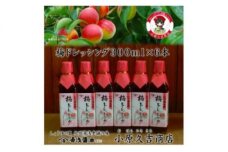 M6122_梅ドレッシング・紀州南高梅入 6本組