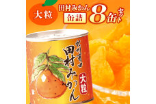 AY6004n_田村みかん缶詰 8個入
