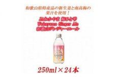 U6206_JAわかやま 生姜丸しぼり  和歌山ジンジャーエール 250ml×24本