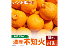 AB6035_（先行予約）有田育ちの濃厚 不知火 (デコポンと同品種)（訳あり 家庭用）10kg