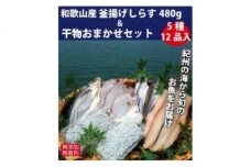 ZB6085_釜揚げしらす 480g＆干物詰め合わせセット 5種12品入り【無添加・無着色】