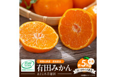 ZE6044n_和歌山県産 有田みかん 5kg 小玉(3S～Sサイズ混合)【まごころ手選別】