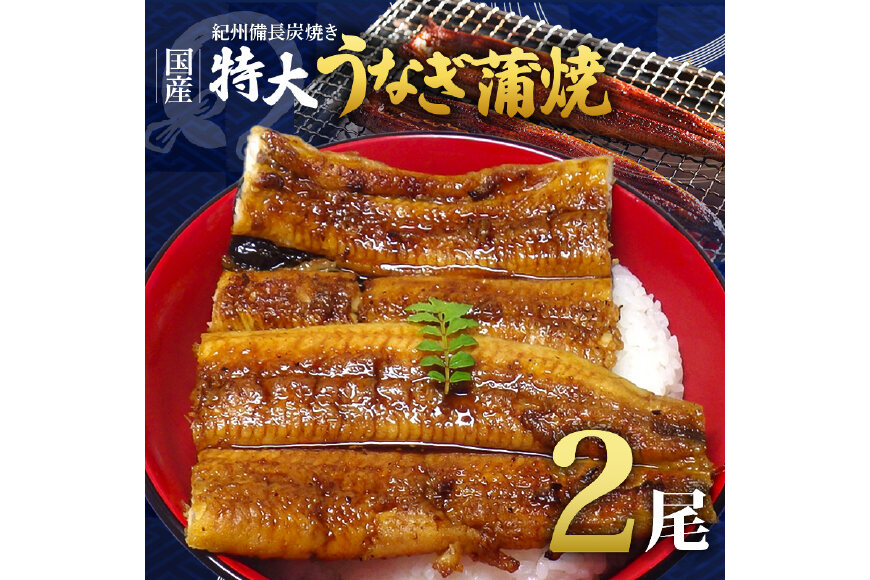 R6102_紀州備長炭焼き 特大 うなぎ 蒲焼き(国産)