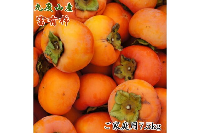 2和歌山県 九度山産 種無し柿 家庭用 １０キロ  15から２０日発送予定