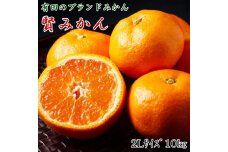 ZD6234_【先行予約】【秀品】有田ブランド 賢みかん 10kg（2Lサイズ）