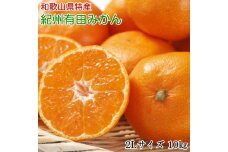 ZD6235_【先行予約】【秀品】 和歌山 有田みかん 10kg (2Lサイズ・秀品）