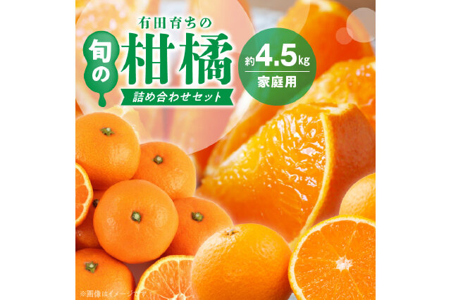 ふるさと納税 「AB7204_（先行予約）みかん名産地和歌山有田育ち 旬の柑橘詰め合わせセット4.5kg（訳あり）」 和歌山県湯浅町 -  ふるさと納税の「ふるさとぷらす」