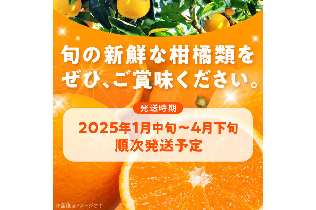 ふるさと納税 「AB7204_（先行予約）みかん名産地和歌山有田育ち 旬の柑橘詰め合わせセット4.5kg（訳あり）」 和歌山県湯浅町 -  ふるさと納税の「ふるさとぷらす」