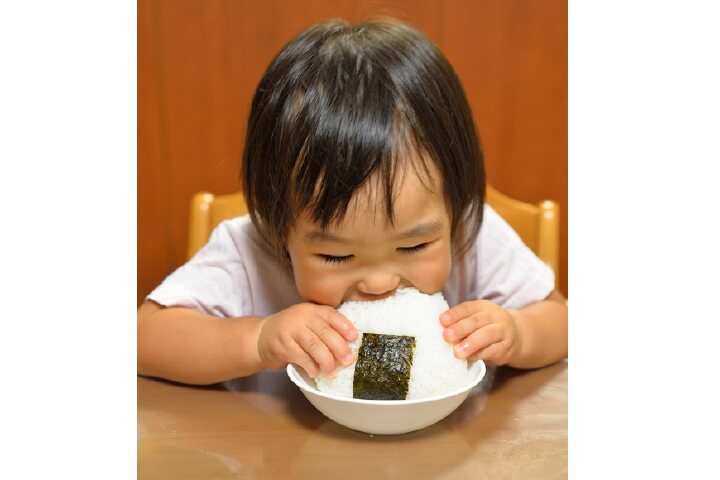 ふるさと納税 農家の食べている お米 和歌山県広川町 ふるさと納税の ふるさとぷらす