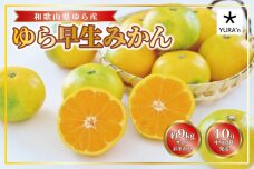 和歌山産ゆら早生みかん サイズおまかせ約9キロ  農家直送［2025年10月中旬頃より順次発送予定］