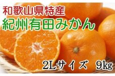 [秀品]和歌山有田みかん約9kg(2Lサイズ) ★2025年11月中旬頃より順次発送【TM85】