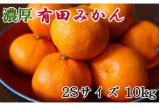 和歌山有田みかん約10kg(2Sサイズ) ★2024年11月中旬頃より順次発送【TM80】