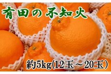 【濃厚】有田の不知火約5kg（12～20玉）★2025年2月中旬頃より順次発送【TM34】